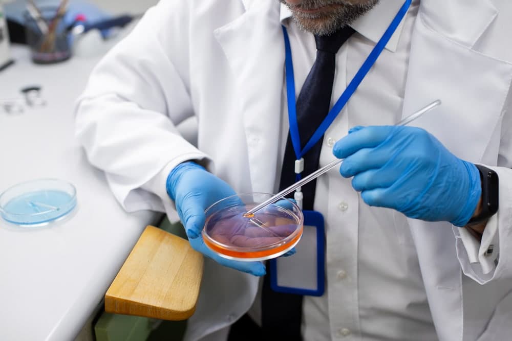 Special Stains & Immunohistochemistry